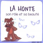 LaHonteCulpabiliteColereCommentLaDe.jpg