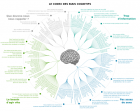 The_Cognitive_Bias_Codex_French__John_Manoogian_III.png