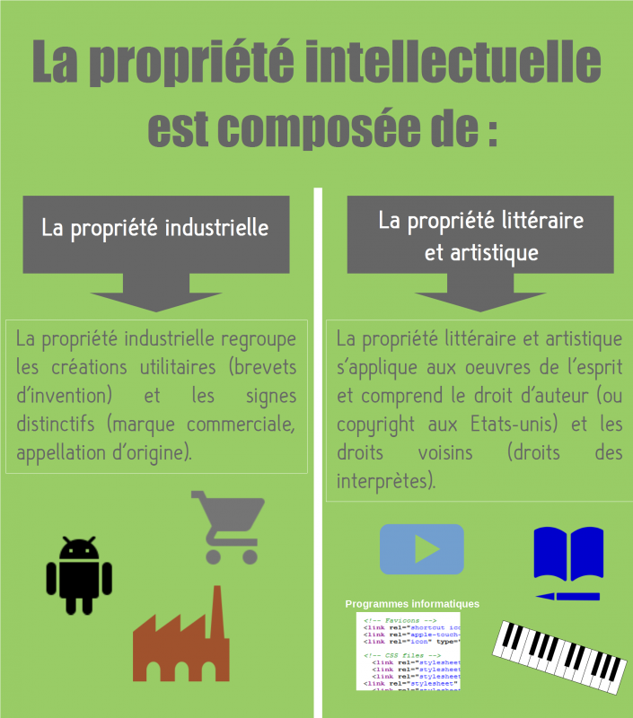 image infographie_propriete_intellectuelle.png (0.2MB)